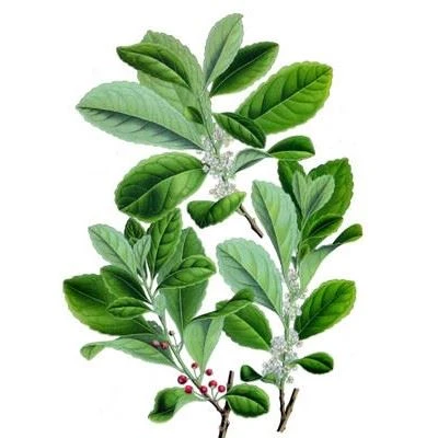 Caffeine Anhydrous